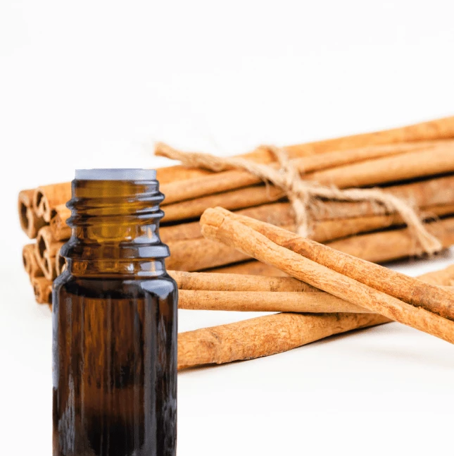 L’huile essentielle de cannelle de ceylan